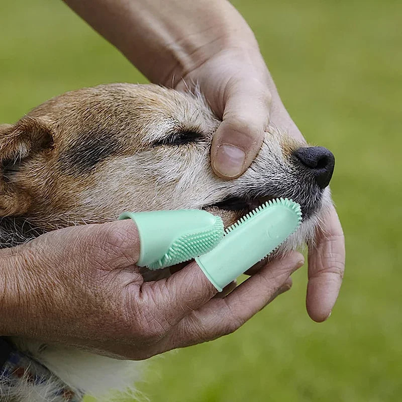 Escova de dentes super macia para animais de estimação